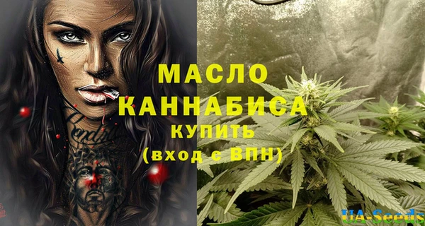 амф Гусев