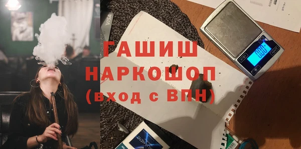 амф Гусев
